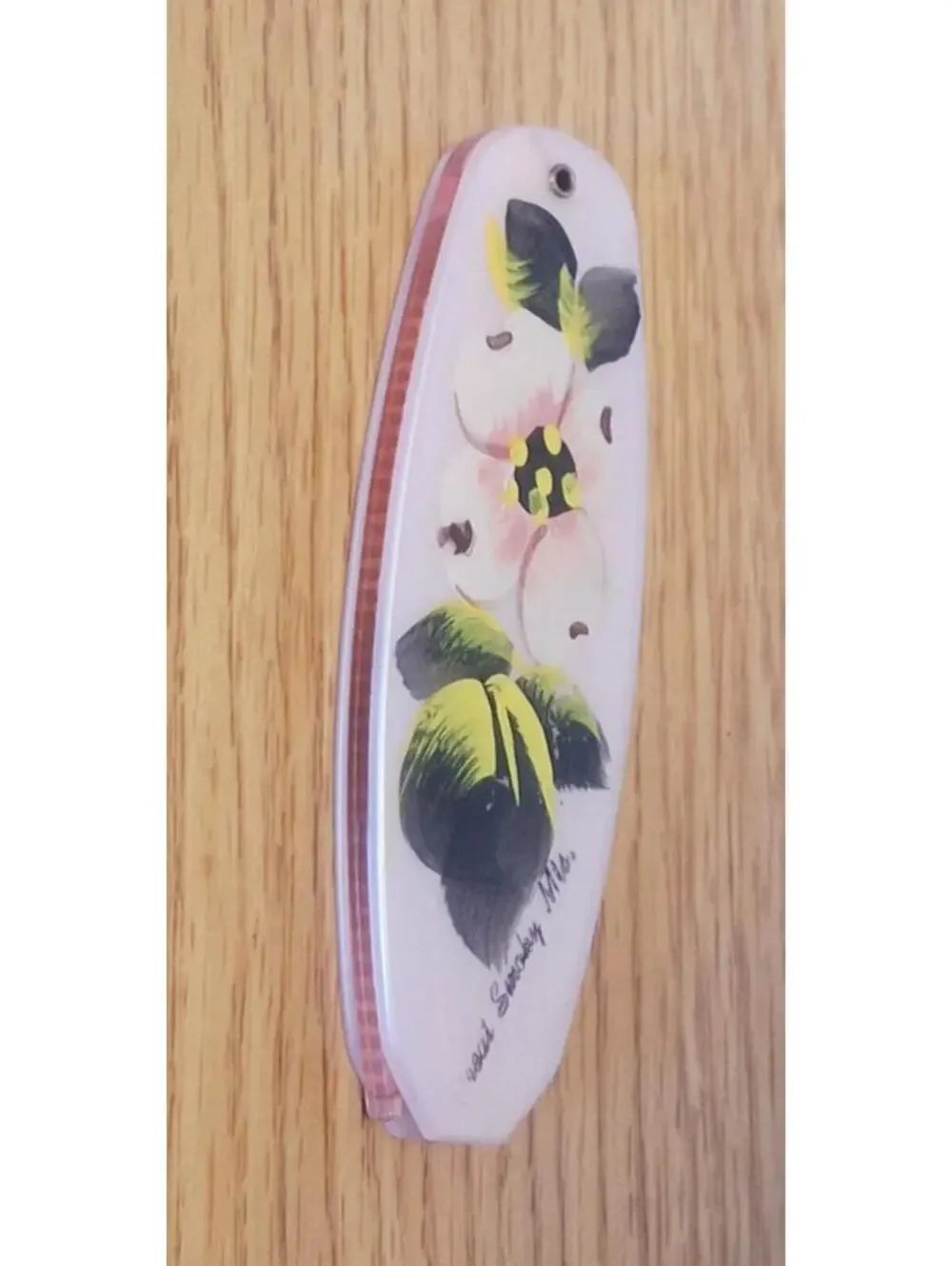 Hand Painted VTG Folding Pocket Comb Great Smoky Mts Dogwood Pink Made in USA